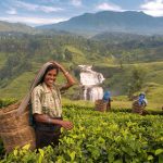 sri-lanka-explorer-31570522-1487346841-ImageGalleryLightboxLarge