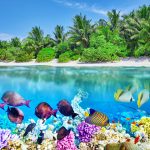 Tropical island and the underwater world in the Maldives.