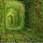 Tunnel_of_Love,_Klevan,_Rivne_Oblast,_Ukraine