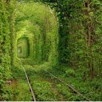 Tunnel_of_Love,_Klevan,_Rivne_Oblast,_Ukraine