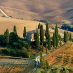 Tuscany Cypress Landscape