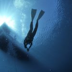 diving-1639964_1280