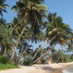 sri-lanka-822613_1280-1